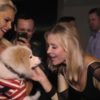 Toby The Pomsky Warning! Explicit Language Please Do Not Watch If There Are Children Around