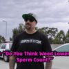 Cypress Hill: B Real "Weed Doesn't Effect Your Sperm Count"