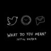 Justin Bieber Reveals 'What Do You Mean' Lyrics