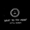 Justin Bieber: What Do You Mean One More Day, Right?