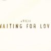 Avicii Waiting For Love